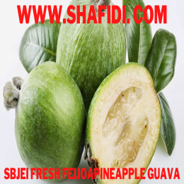 FRESH FEIJOAPINEAPPLE GUAVA